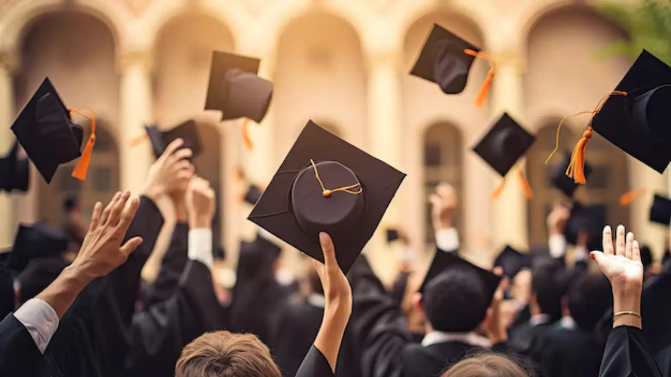 The Danish Government Scholarship