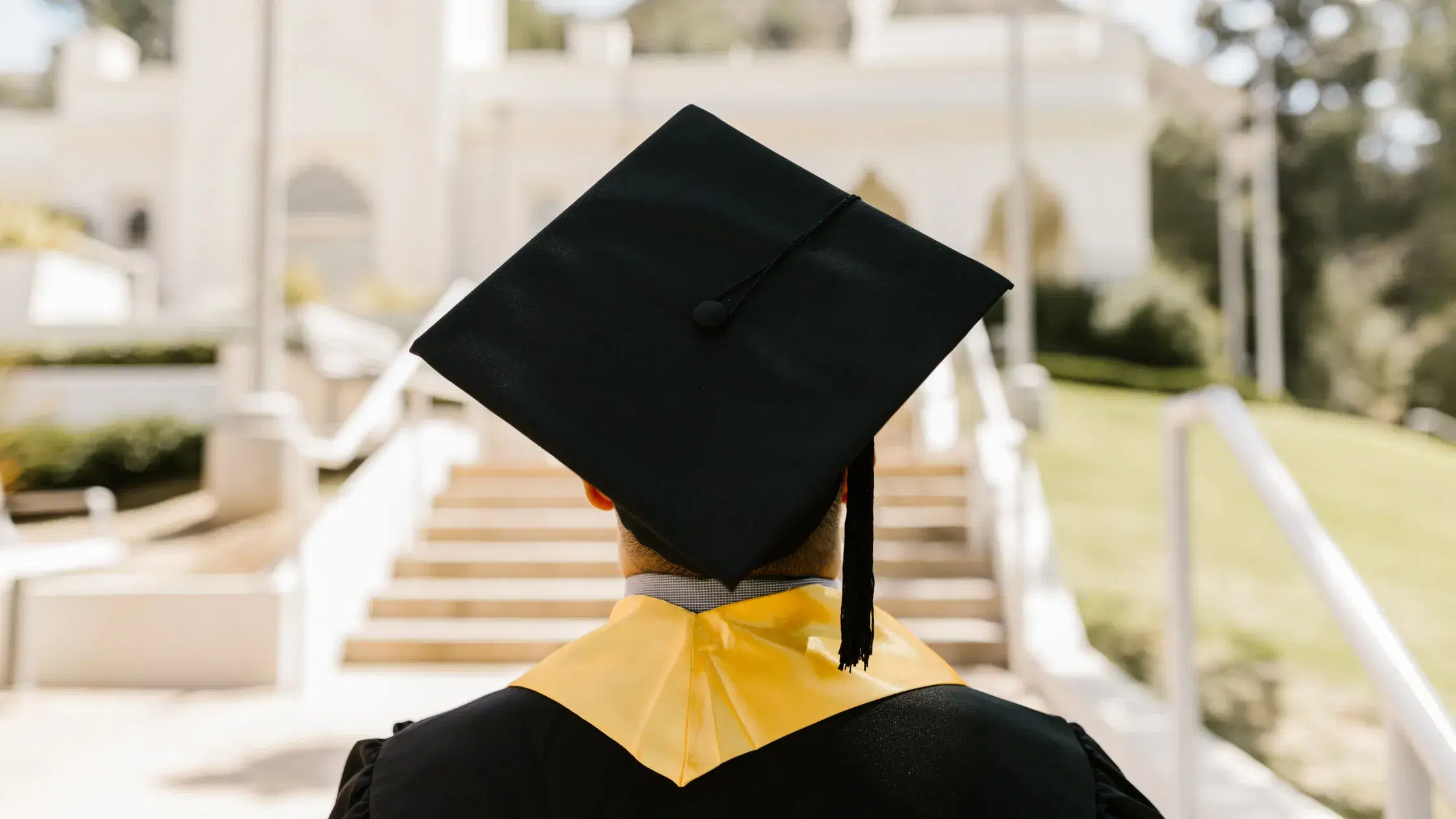 The Commonwealth Distance Learning Scholarship